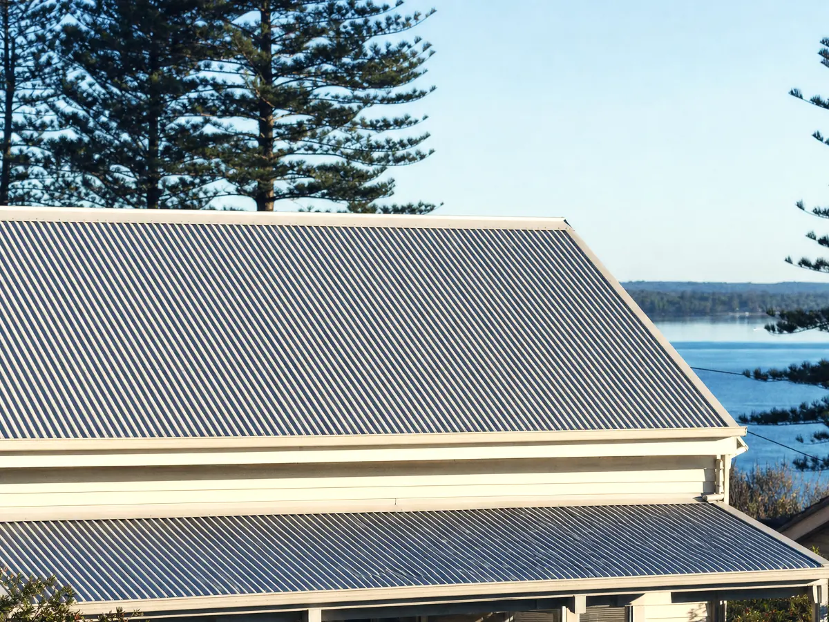 A low-pitch corrugated steel roof on an older Belmont fibro cottage, Norfolk Island pines and the lake behind