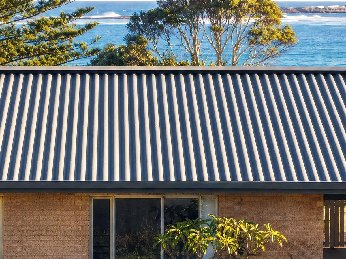 A low-set Swansea beach house with a light grey corrugated roof, coastal scrub and open ocean beyond
