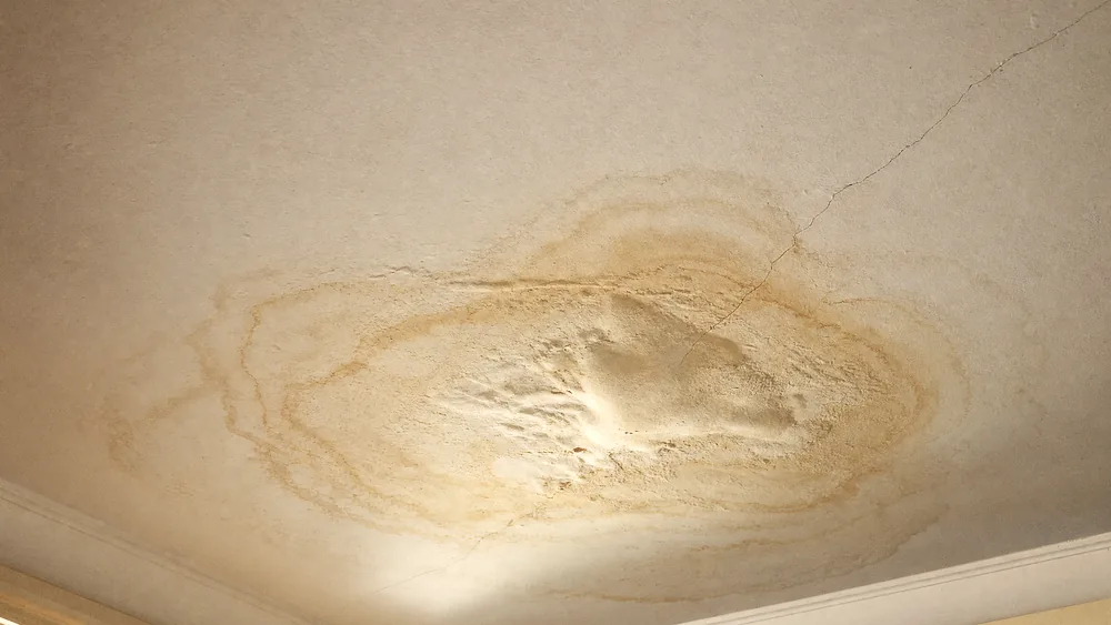 Water stain spreading across a white plasterboard ceiling, the plaster bubbled at its centre